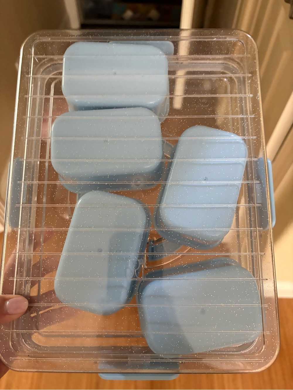 Blue Plastic Multi-Compartment Food Storage Container - Picture 3 of 3
